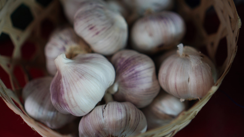 Bulbs of garlic in a woven basket