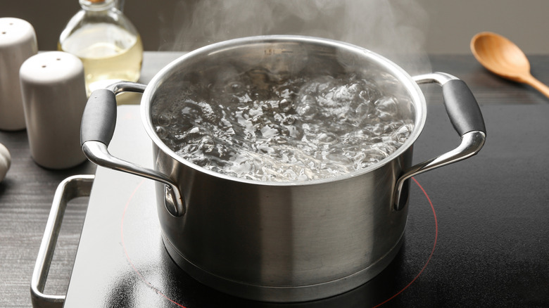 A pot of boiling water on stovetop