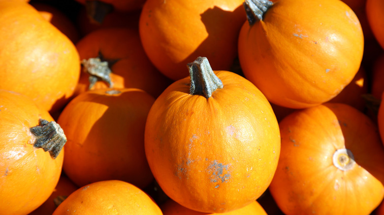 pumpkins