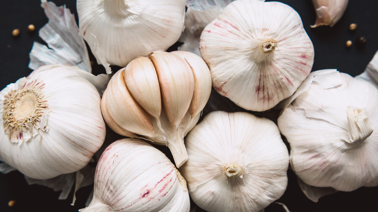 Bulbs of whole garlic 