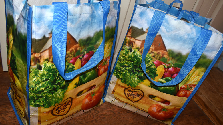 Wegmans grocery store shopping bags