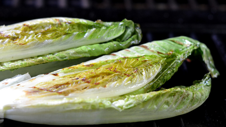 Close up of grilled romaine lettuce