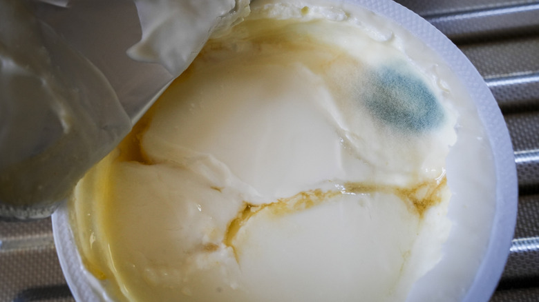 A moldy package of yogurt
