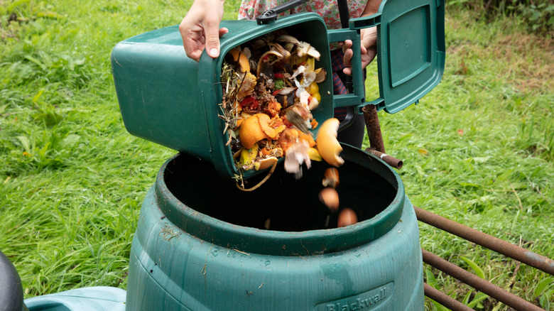 Binning food into compost