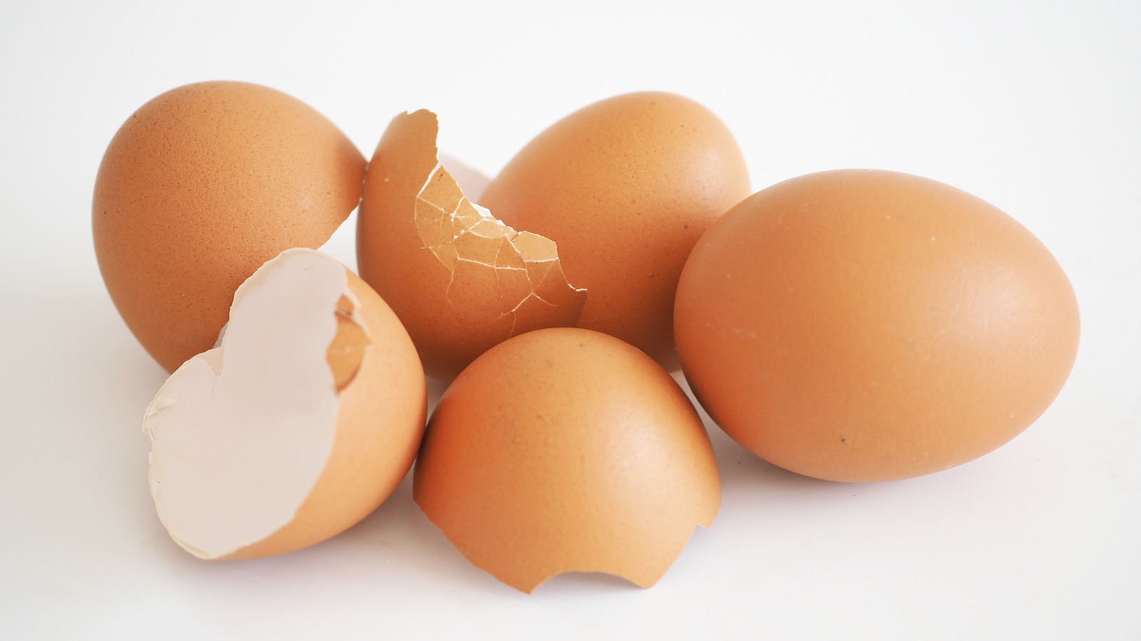 Why You Should Never Get Rid Of Eggshells In The Garbage Disposal