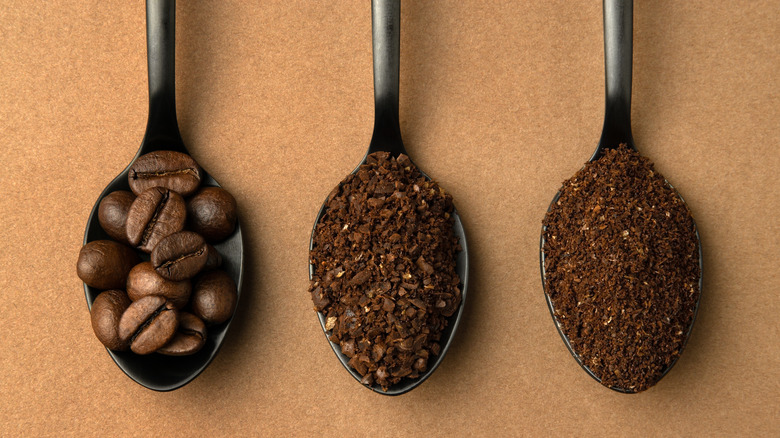 Spoons with different types of coffee beans