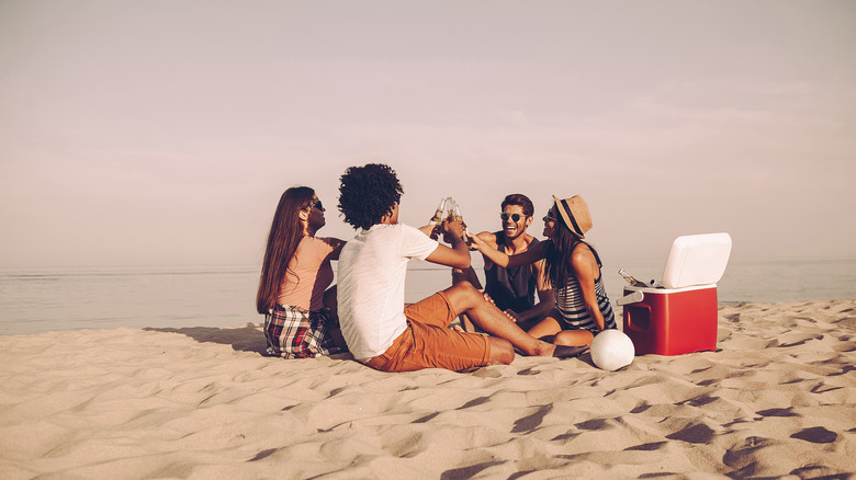 friends at a beach picnic 