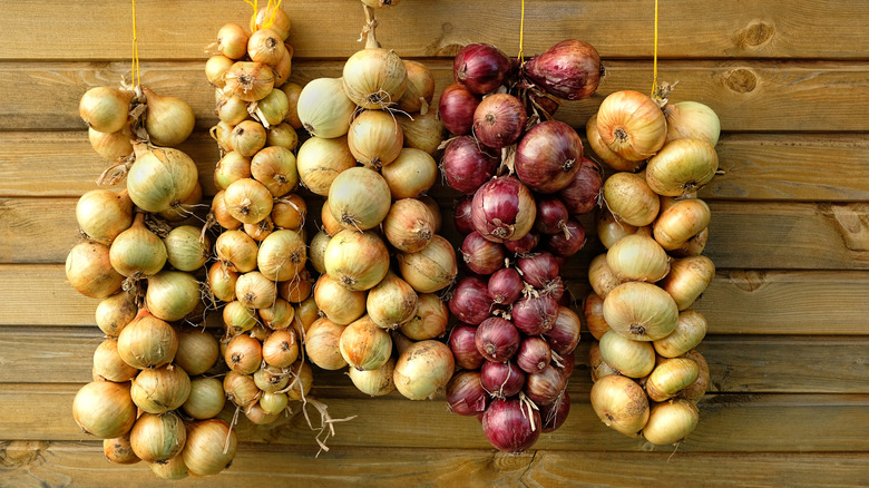 Different types of braided onions hanging against a wall