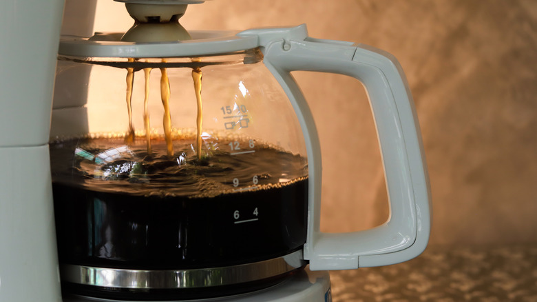 Drip coffee maker brewing
