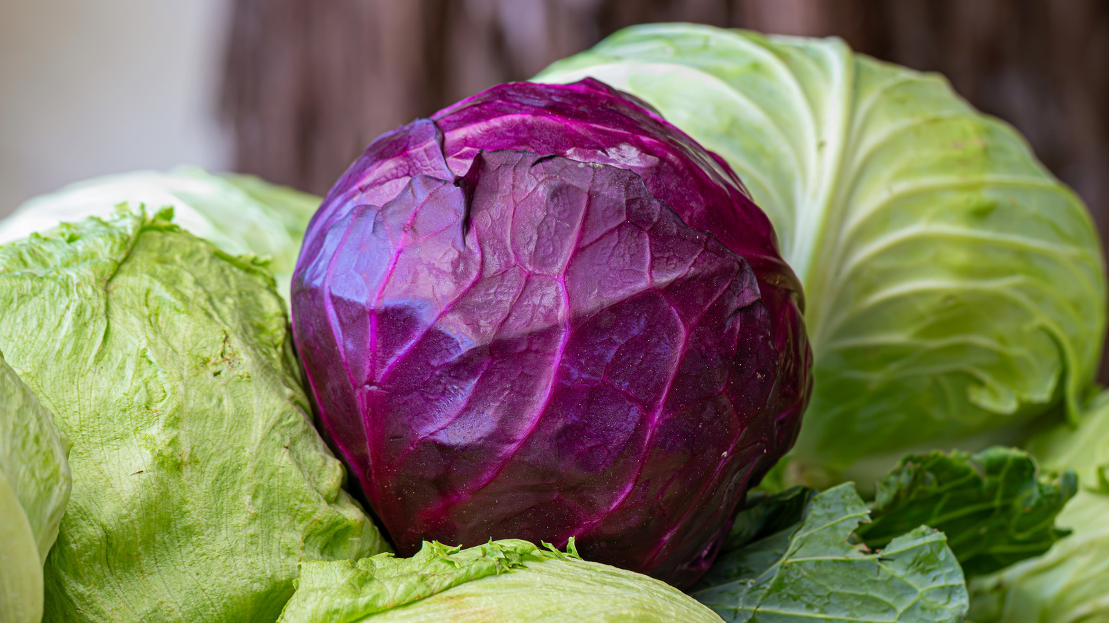 Why You Should Reach For Red Cabbage Over Green When It Comes To Roasting - Tasting Table