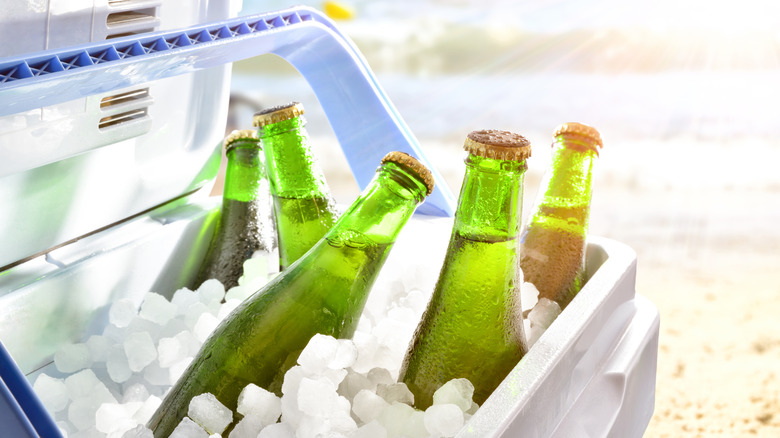 beer in a cooler full of ice 