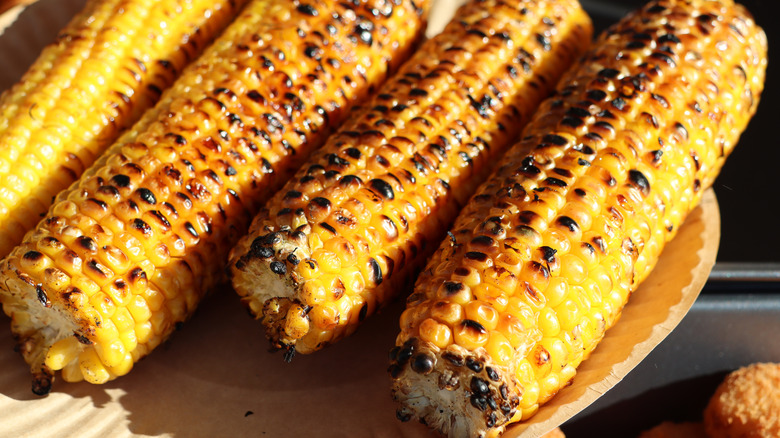 A plate of charred grilled corn on the cob.