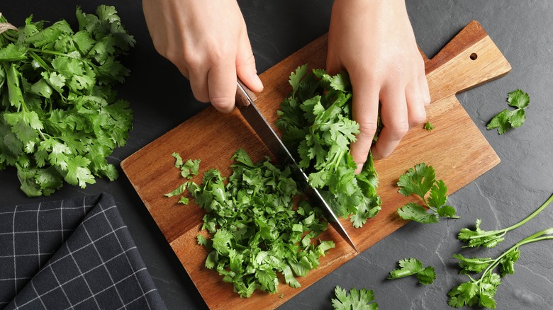 chopping fresh cilantro on board