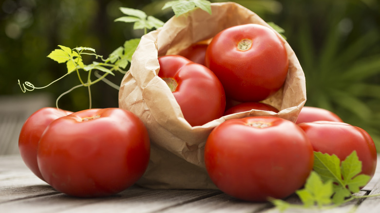 An overflowing bag of ripe tomatoes outdoors