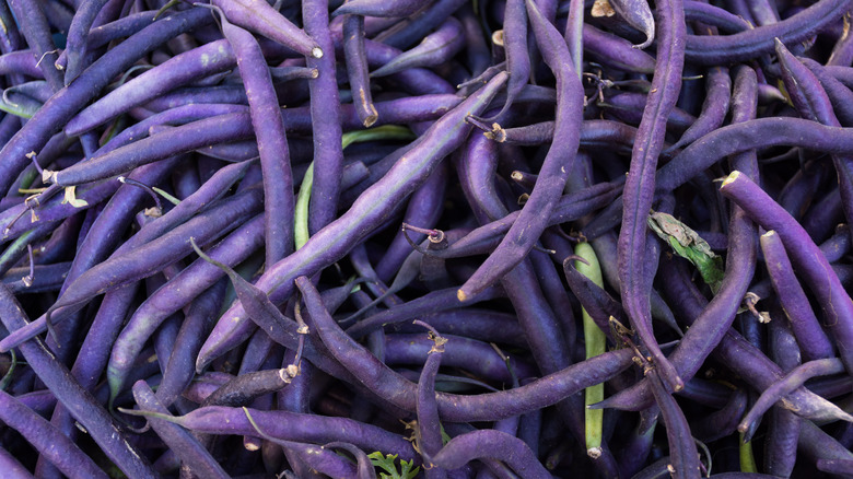 Close-up of a pile of raw purple beans