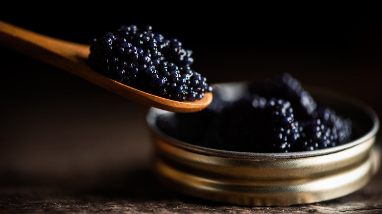 Caviar on a wooden spoon next to tin