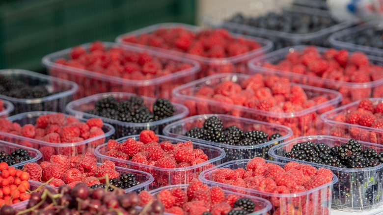 Plastic containers on a table filled with various red and black berries