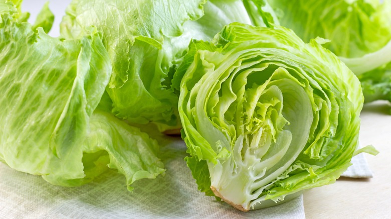 Head of iceberg lettuce