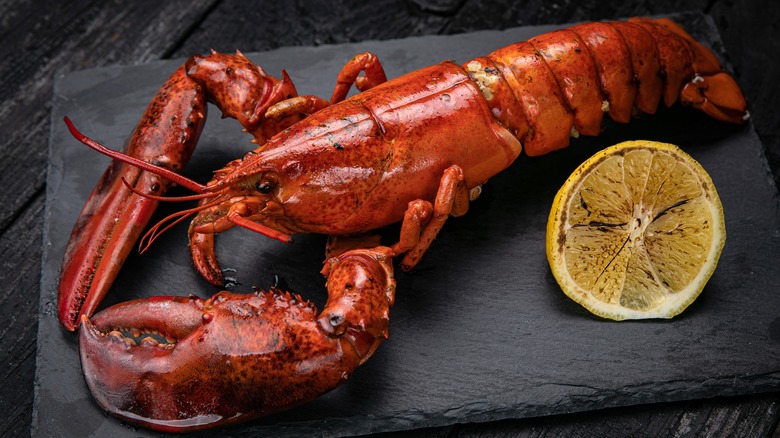 Cooked lobster on black slate 