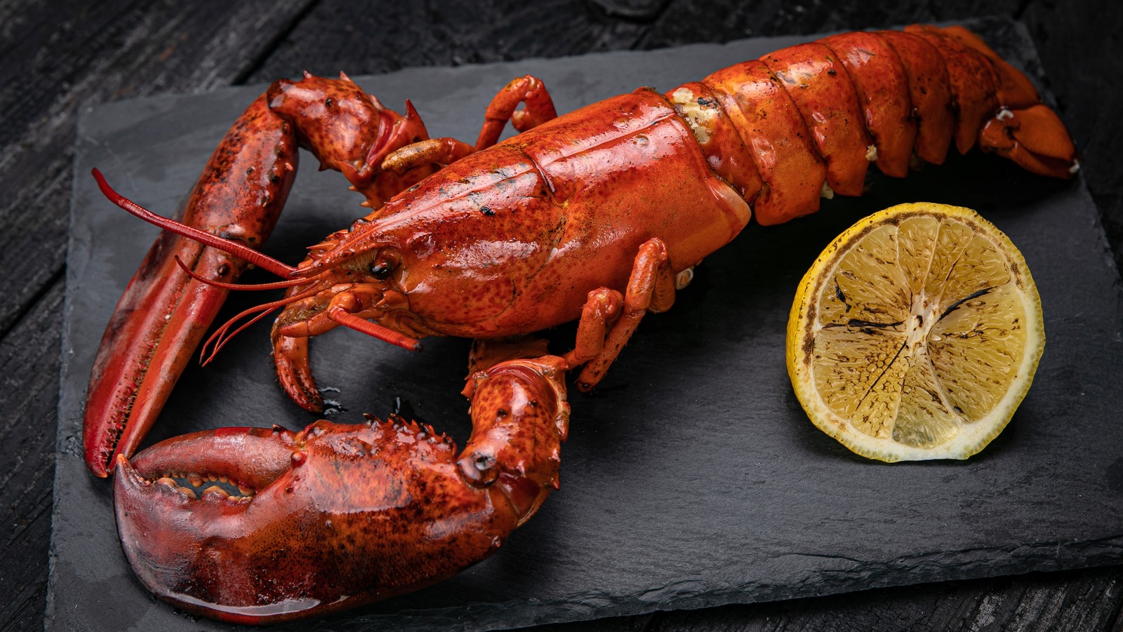 Why You Shouldn't Rely On Color To Determine If Lobster Is Done