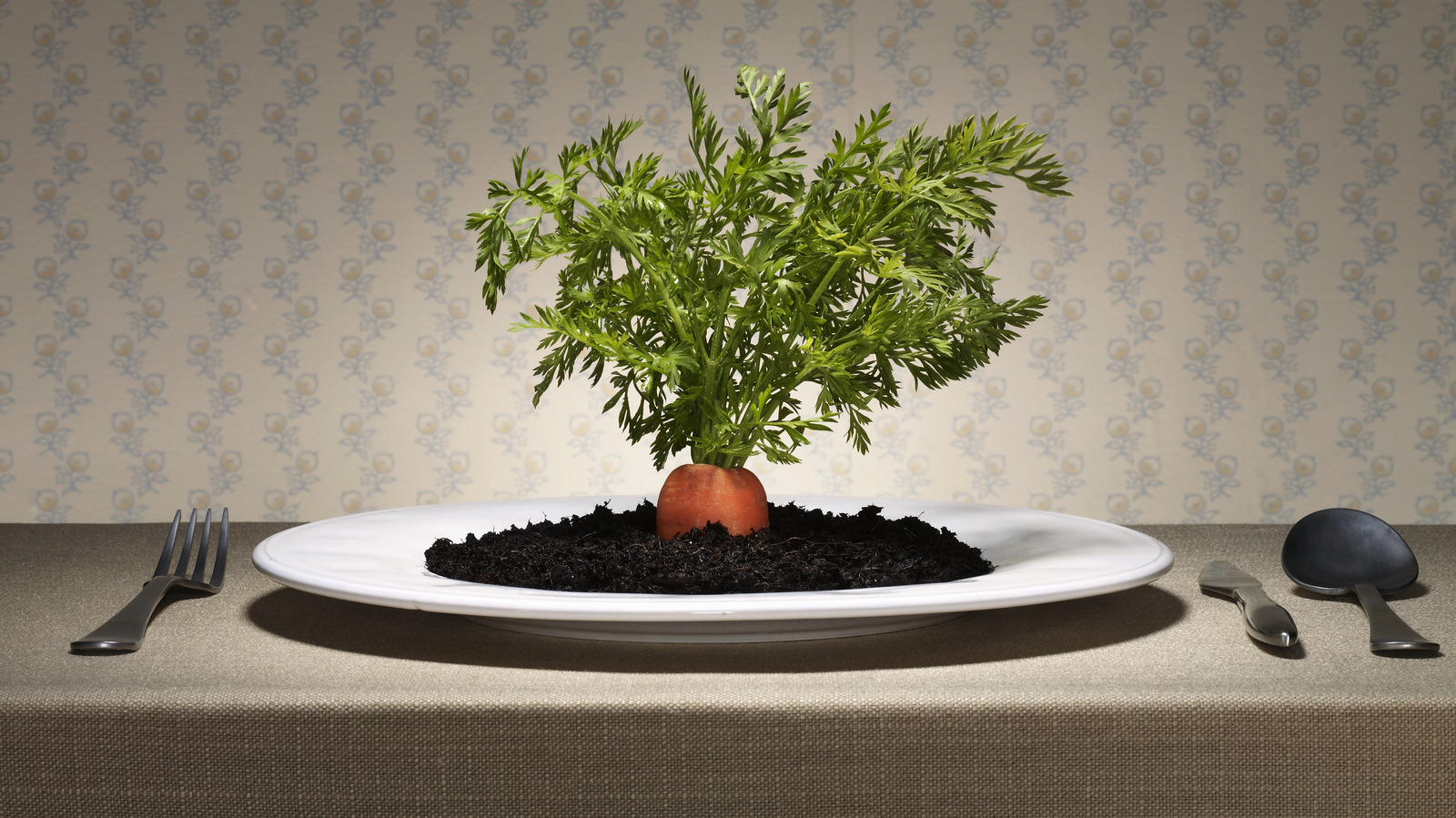 Why You Shouldn't Throw Away Carrot Tops