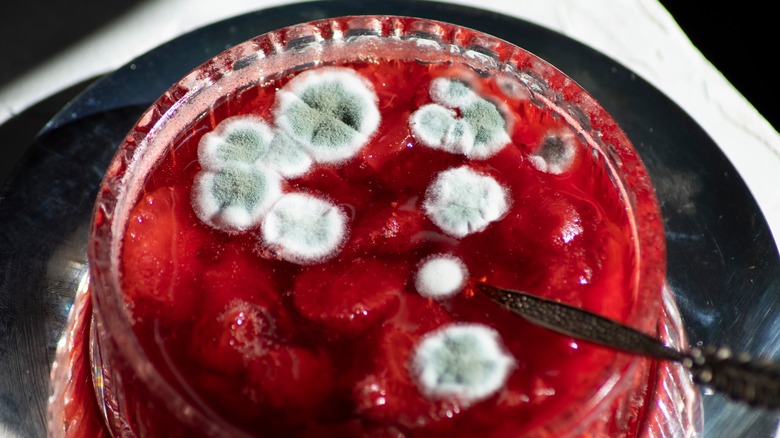 mold in jar of jam