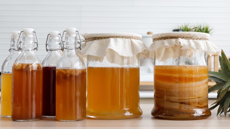 four bottles and two glass jars of kombucha