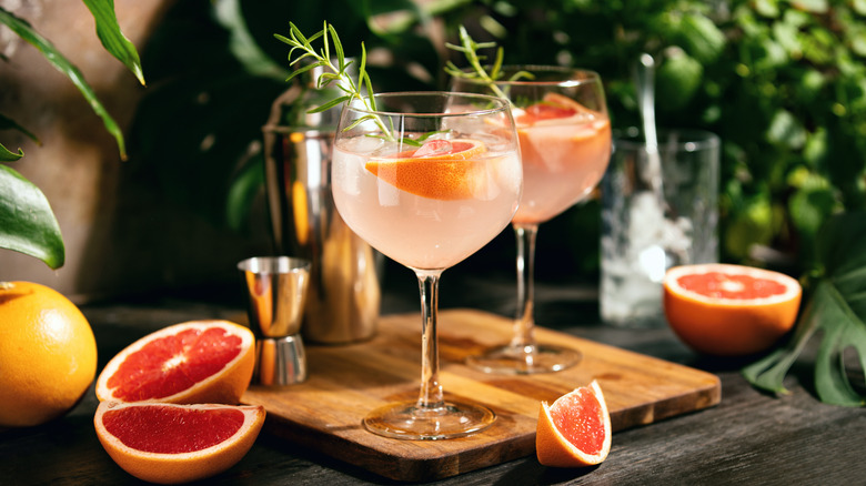 cocktails with blood orange and rosemary garnish