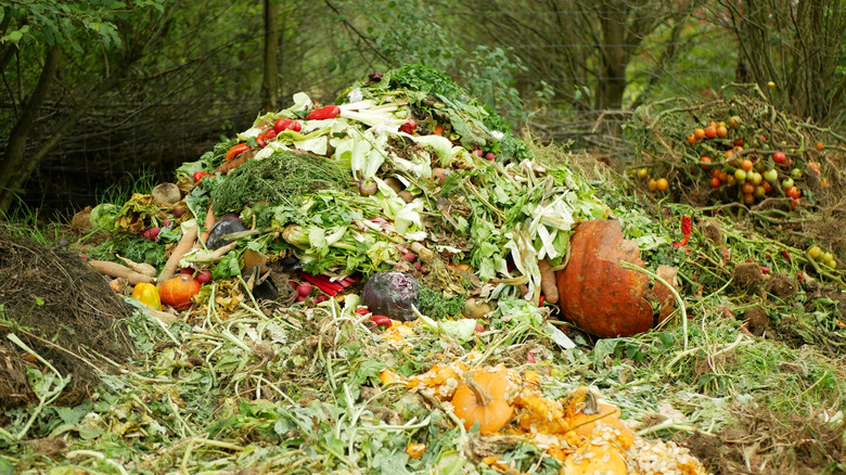 Outdoor compost pile with pumpkin scraps