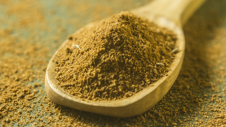 Worcestershire powder in a spoon