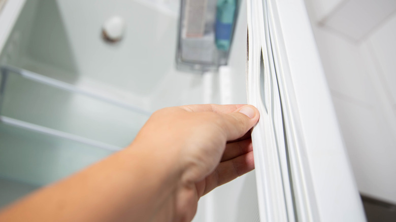 Hand pinching an old and worn seal on a refrigerator door