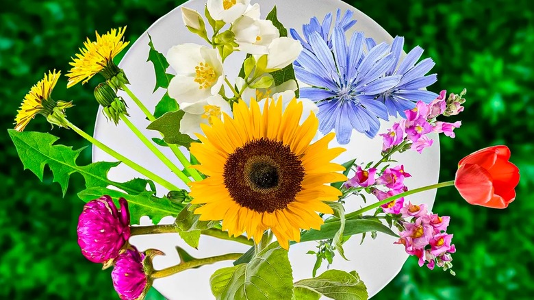 Flower collage with sunflower in center