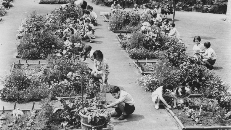 children in their victory garden, 1940