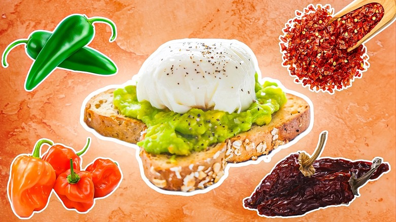 Avocado toast spicy toppings