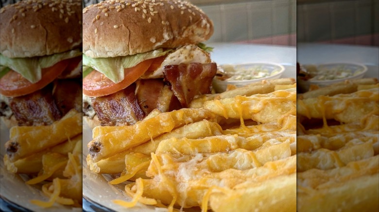 Bacon egg burger and cheesy fries on a white plate