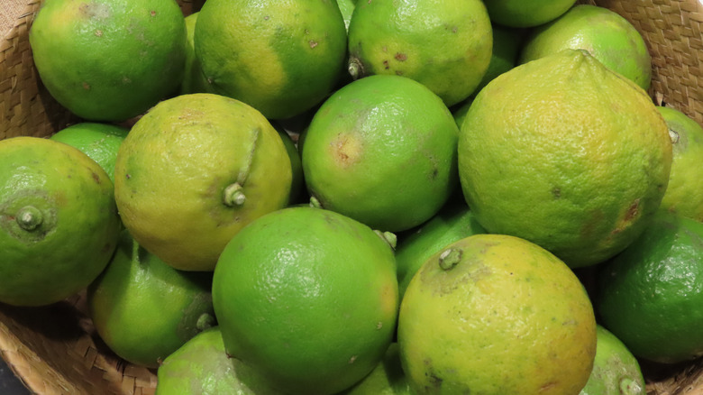 Fresh bergamot in basket
