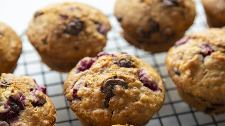 closeup of freshly baked muffins on a wire rack