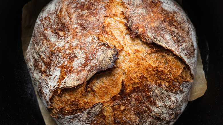 Top-down view of a crusty rye bread loaf