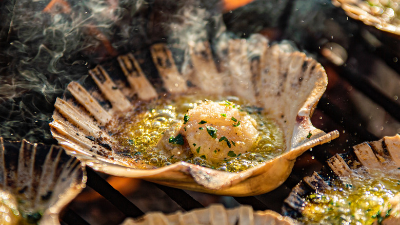 Grilling scallops