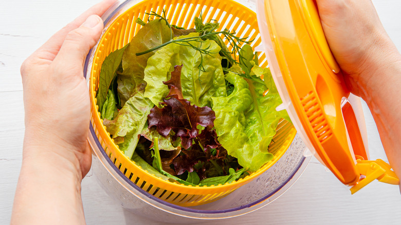 Mixed greens in salad spinner 