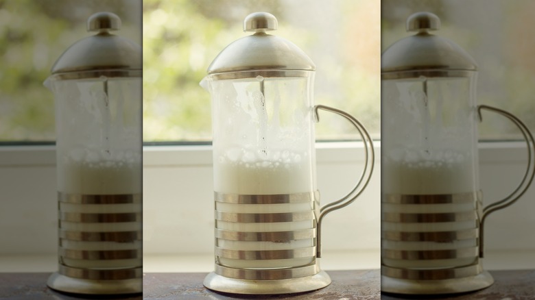View of frothed milk in a French press on a table