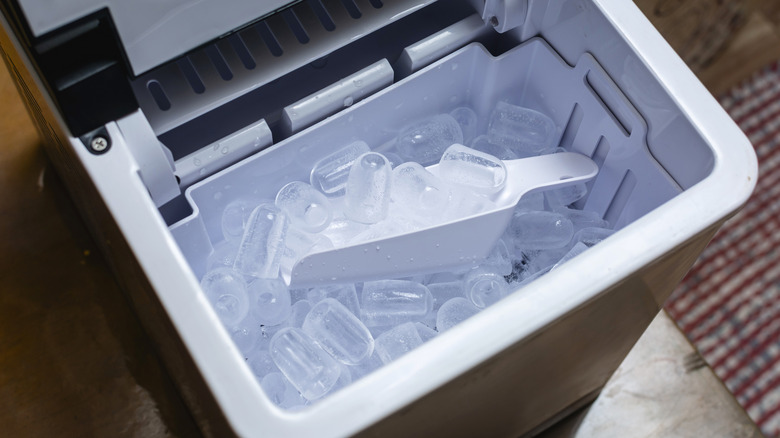 a countertop ice cream maker, with its lid open to show a clean white interior, ice cubes, and a white scoop