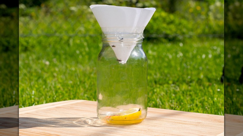 a mason jar funnel fly trap outside on a wooden board resting in the lush green grass and foliage