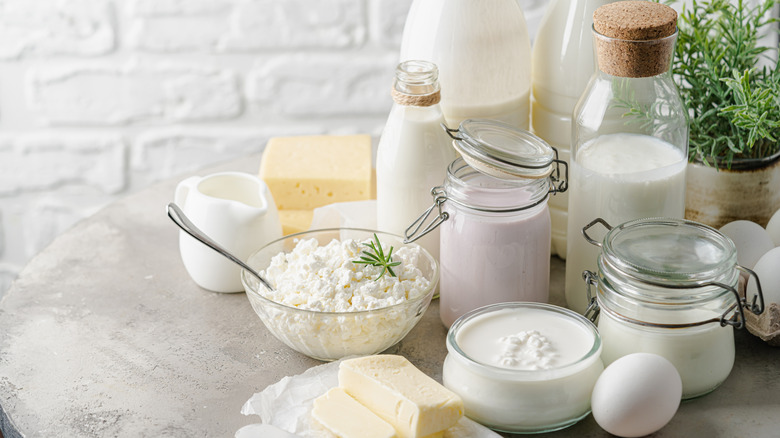 Different types of fresh dairy products