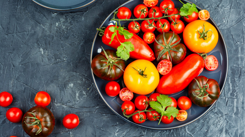 assortment of different tomatoes