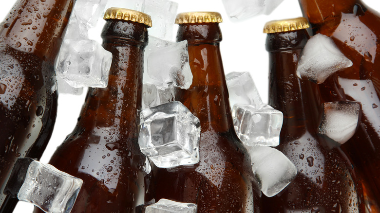 Bottles of beer and ice