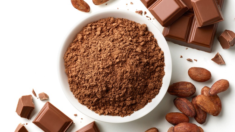 A bowl of cocoa powder surrounded by chocolate