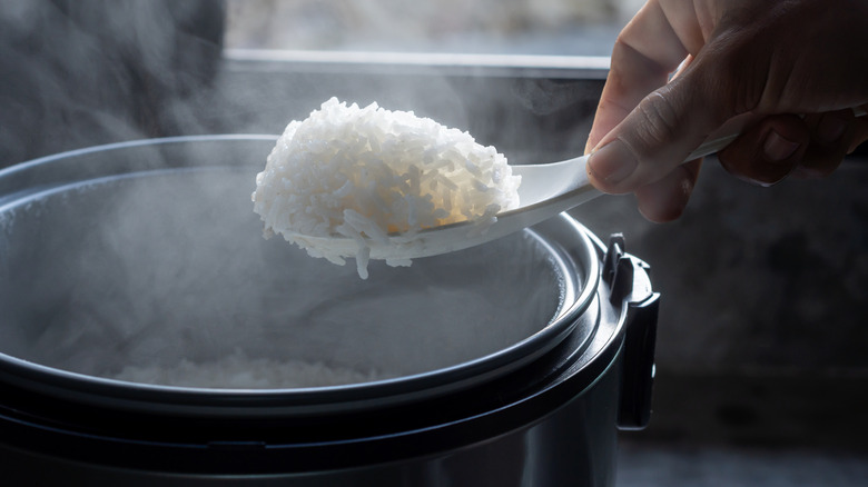 View of person holding a spoon of steamed jasmine rice over a rice cooker