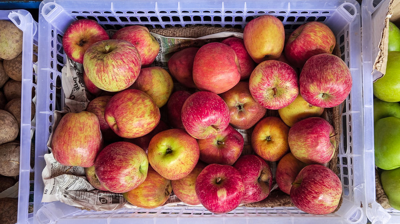 Overhead view of Honeycrisp apples in basket