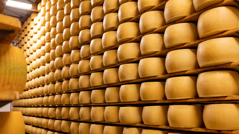 wheels of Parmigiano Reggiano stored on shelves